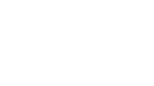 lamexon energy solutions white logo
